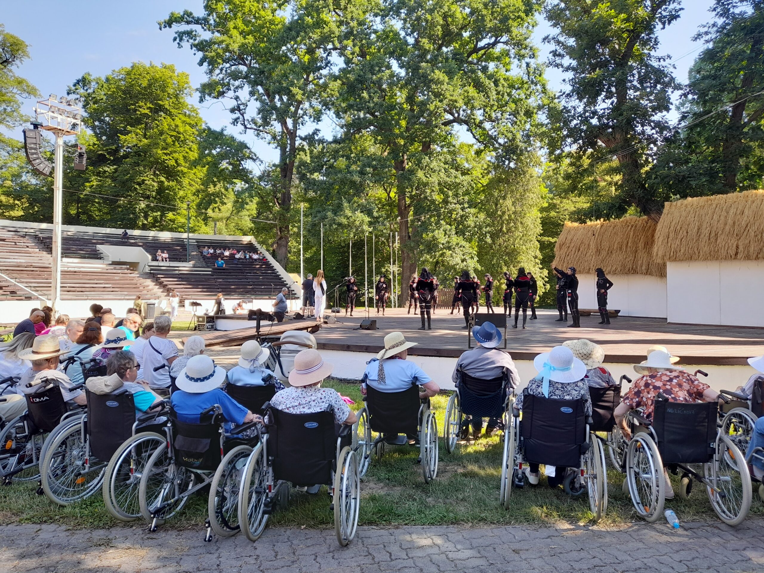 Vystoupení tanečníků z Gruzie na folklorním festivalu, uživatelé v parku